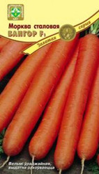 Морковь столовая Бангор F1 200 шт