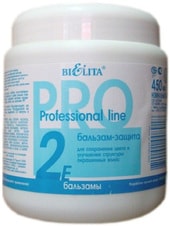 Professional Line защита для окрашенных волос 450 мл