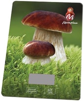 MA-037 (грибы)