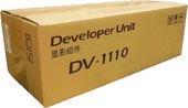 DV-1110