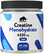 Creatine Monohydrate (240 капсул)