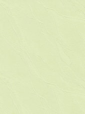 Сантайм Жаккард СРШ 01МД 877 68x170 (салатовый, рисунок веда)