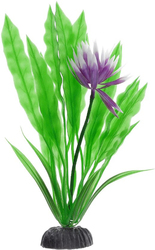 Апоногетон курчавый с цветком Plant 029/50 (зеленый)