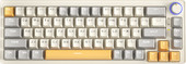 ZA68 Beige Gray Yellow (TNT Yellow)