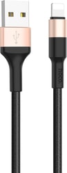 X26 USB Type-A - Lightning (1 м, черный/золотистый)