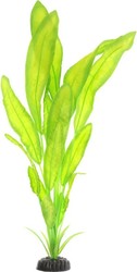 Апоногетон Натанс Plant 048/10 (зеленый)