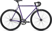 Crop Purple 58cm/L 2024