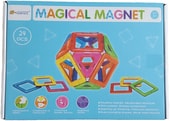 71 Magical Magnet