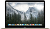 MacBook (2015 год) [MK4N2]