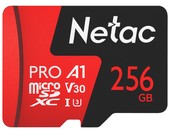 256GB 500 Extreme Pro NT02P500PRO-256G-R (с адаптером)