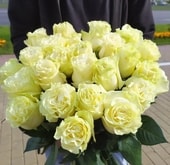 Роза Mondial 60 см (желтый)