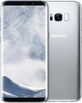 Galaxy S8+ Dual SIM 64GB (арктический серебристый) [G955FD]