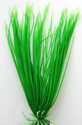 Акорус Plant 007/30 (зеленый)