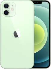 iPhone 12 Dual SIM 256GB (зеленый)