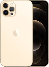 iPhone 12 Pro Dual SIM 512GB (золотой)