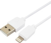 GCC-USB2-AP2-0.3M-W