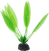 Эхинодорус амазонский Plant 009/30 (зеленый)