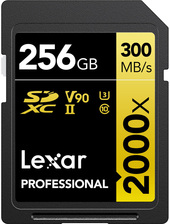 Professional 2000x SDXC LSD2000256G-BNNNG 256GB