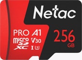 P500 Extreme Pro 256GB NT02P500PRO-256G-S