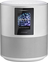 Home Speaker 500 (серебристый)