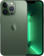 iPhone 13 Pro Dual SIM 512GB (альпийский зеленый)