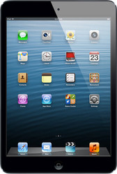 iPad mini 16GB Black