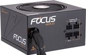 Seasonic Focus 450W Gold