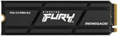 Fury Renegade 500GB SFYRSK/500G