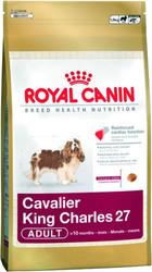 Cavalier King Charles 27 1.5 кг