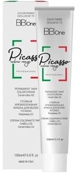 Picasso Colour Range для седых волос 10.0