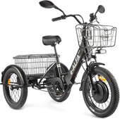 Green City e-ALFA Trike 2022 (черный)