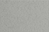 Tiziano 52551029 (серый холодный)