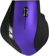 613AG Purple/Black (SBM-613AG-PK)