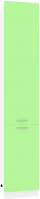 Корнелия Лира НШП40 (зеленый)