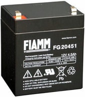 FG20451 (12В/4.5 А·ч)