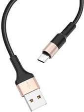 X26 USB Type-A - USB Type-C (1 м, черный/золотистый)