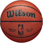 NBA Authentic (7 размер)