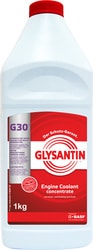 G30 concentrate 1кг