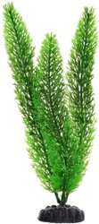 Роголистник Plant 015/10 (зеленый)
