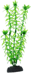 Элодея Plant 004/30 (зеленый)