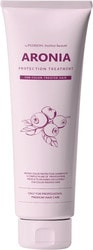 Institute-beaut Aronia Color Protection Treatment 100 мл