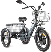 Green City e-ALFA Trike 2022 (темно-серый)