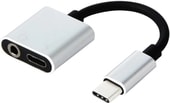 USB 3.1 Type-C на 3.5 мм/USB 3.1 Type-C