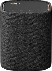 True X Speaker WS-X1A (темно-серый)