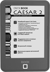 BOOX Caesar 2 (серый)