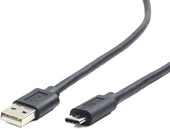 CCP-USB2-AMCM-10