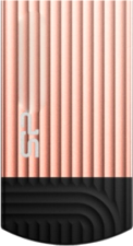 Jewel J20 64GB (розовый) [SP064GBUF3J20V1P]