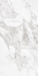 Carrara White Matt 600x300