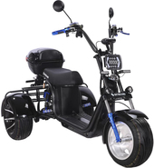 Trike BR60-3000 Pro Fast SKY0001501 (черный)