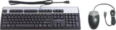 USB Keyboard and Optical Mouse Kit Russian (638214-B21)